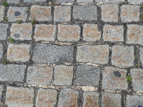 Foto 41